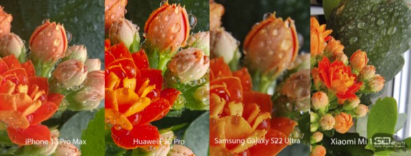 Сравнительный тест камер флагманских смартфонов (2022): Apple iPhone 13 Pro Max, Huawei P50 Pro, Samsung Galaxy S22 Ultra, Xiaomi Mi 11 Ultra 