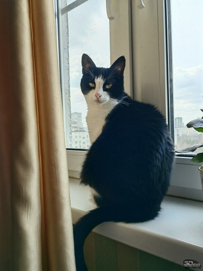 Сравнительный тест камер флагманских смартфонов (2022): Apple iPhone 13 Pro Max, Huawei P50 Pro, Samsung Galaxy S22 Ultra, Xiaomi Mi 11 Ultra 