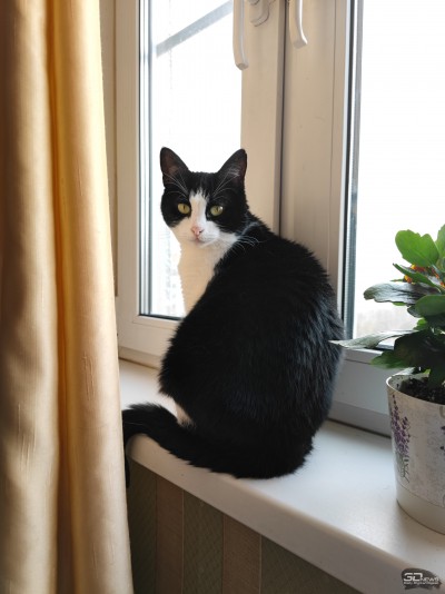 Сравнительный тест камер флагманских смартфонов (2022): Apple iPhone 13 Pro Max, Huawei P50 Pro, Samsung Galaxy S22 Ultra, Xiaomi Mi 11 Ultra 